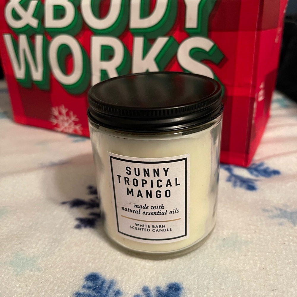 Bath and Body Works Single Wick candle